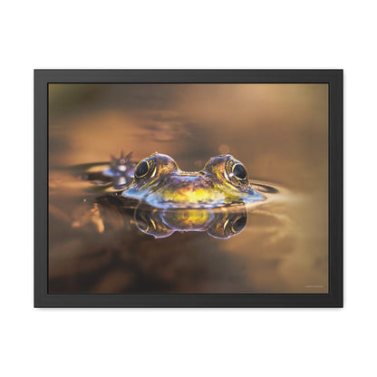 Duality of Frog Framed Fine Art Photograph