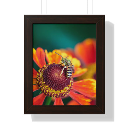 Fashionable Sweat Bee Framed Matte Print