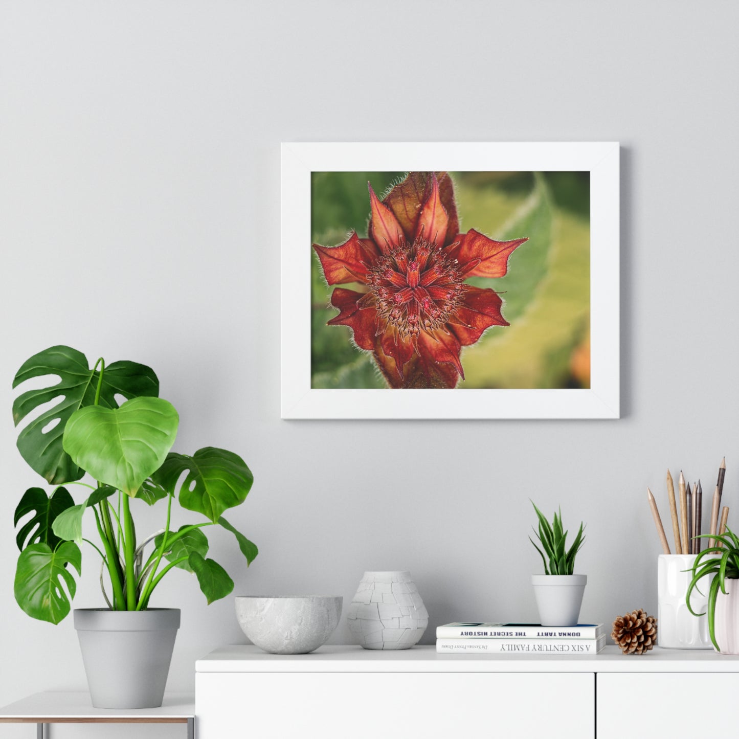 Fancy Red Bee Balm Flower Macro Framed Matte Print