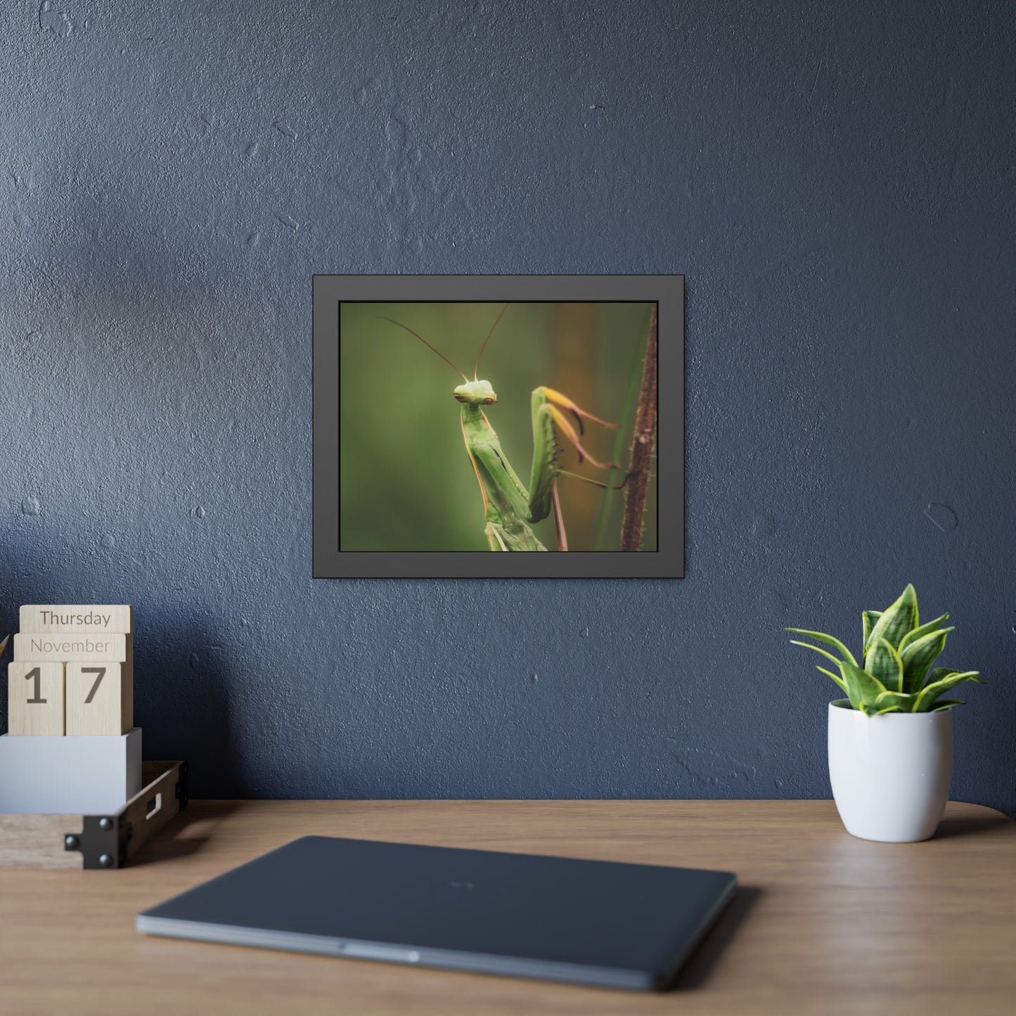 Majestic Mantis Framed Print | Nature Photography