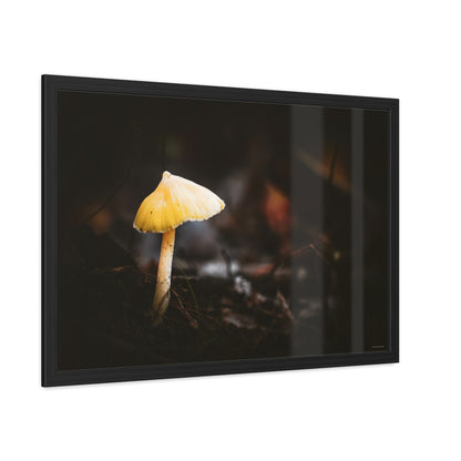 Mystical Magical Mushroomland Framed Fine Art Photograph