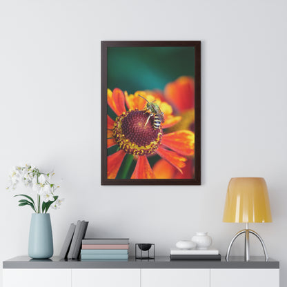 Fashionable Sweat Bee Framed Matte Print