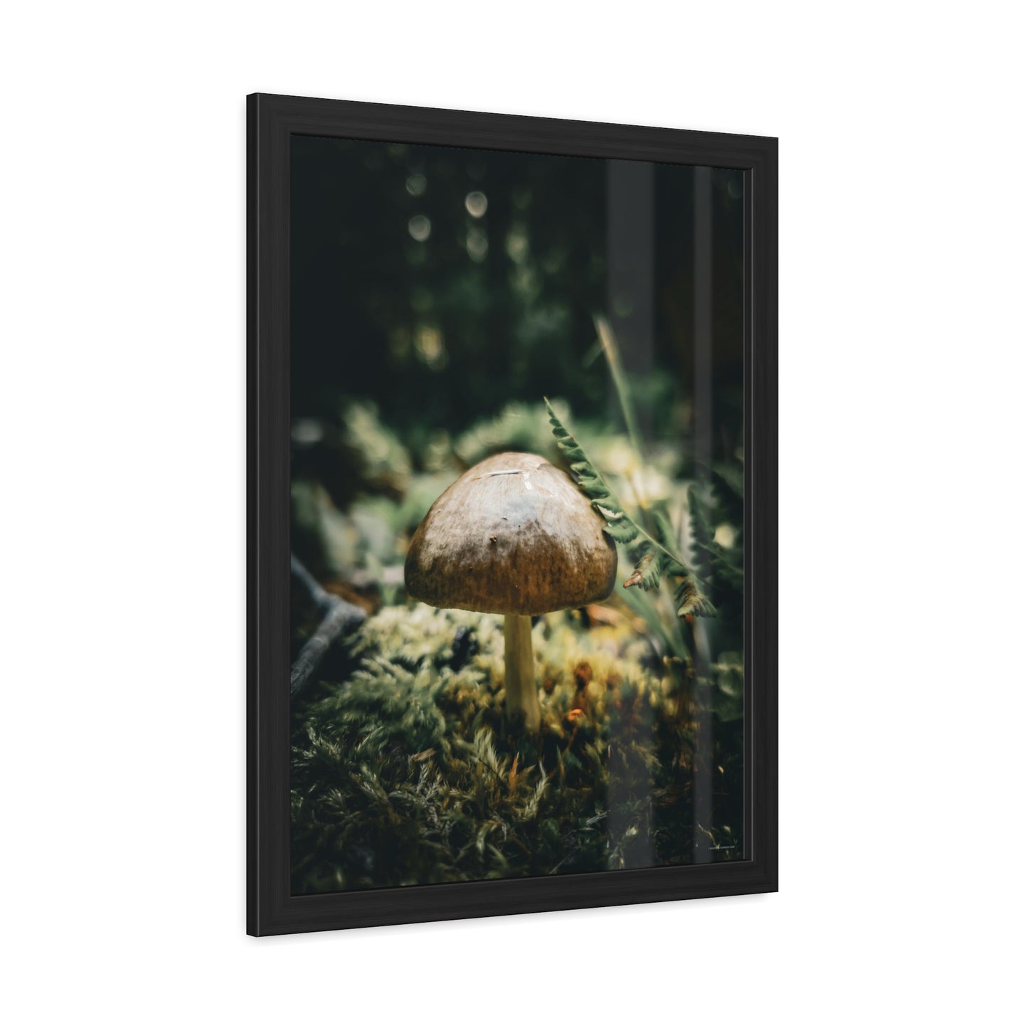 Mossy Mushroom House Framed Fine Art Photograph