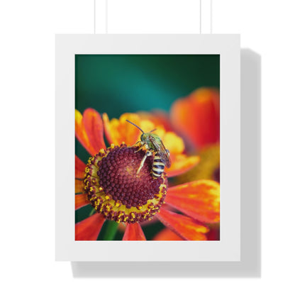 Fashionable Sweat Bee Framed Matte Print