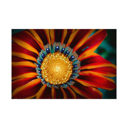 Vibrant Macro Flower Fine Art Print