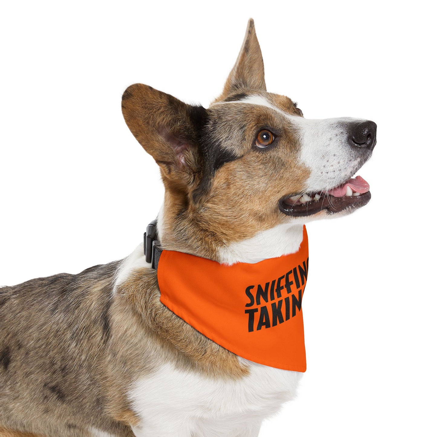 Sniffing Butts Taking Names Safety Orange Pet Bandana