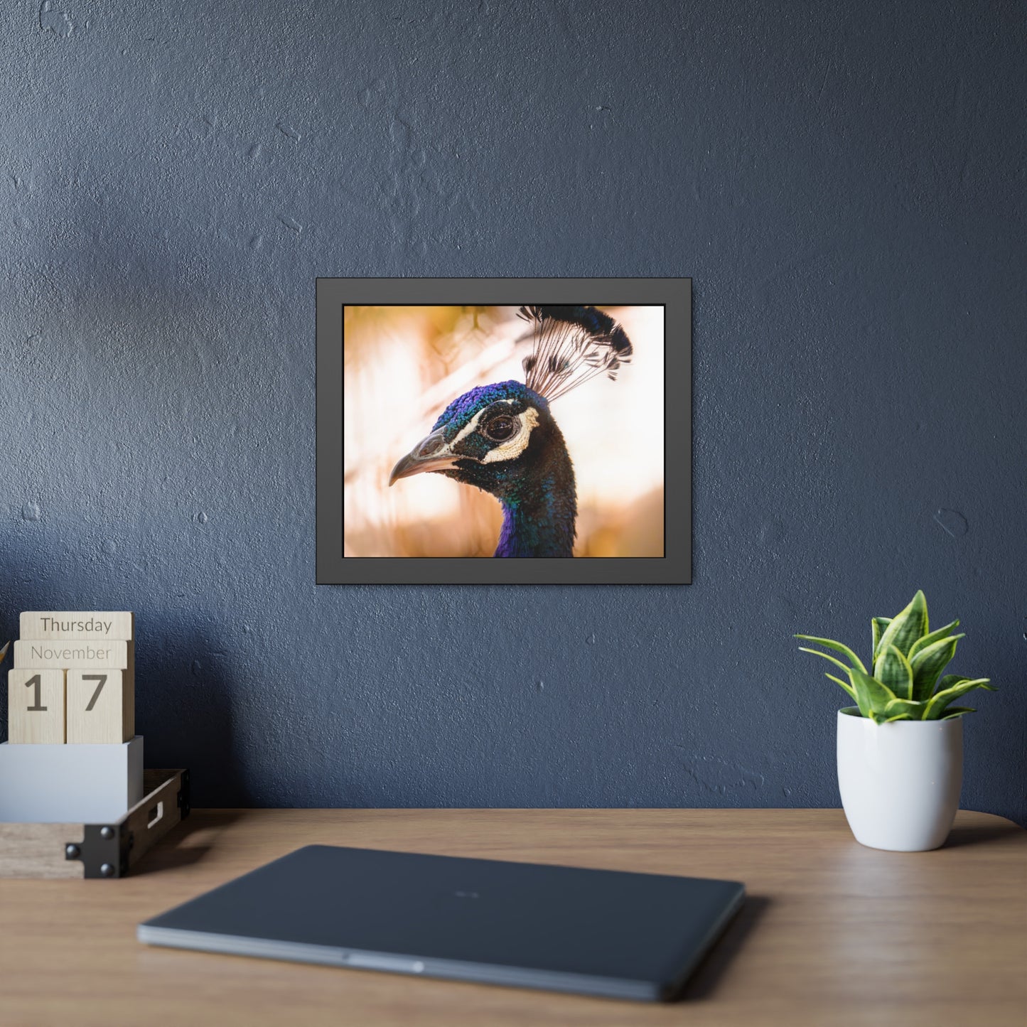 Peculiar Peacock Framed Print | Nature Photography