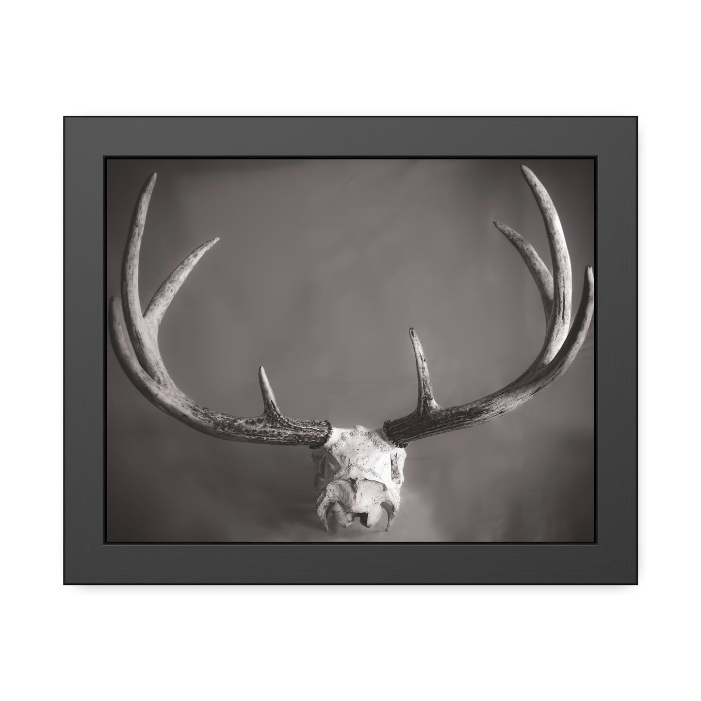 Ghosts of Deers Past Framed Print | Nature Photography
