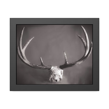 Ghosts of Deers Past Framed Print | Nature Photography