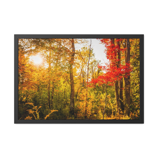 Happy Autumn Sun Framed Fine Art Photograph