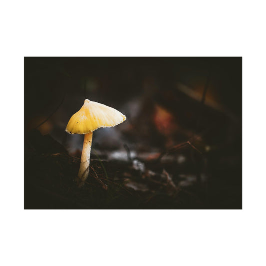 Mystical Magical Mushroomland Fine Art Print