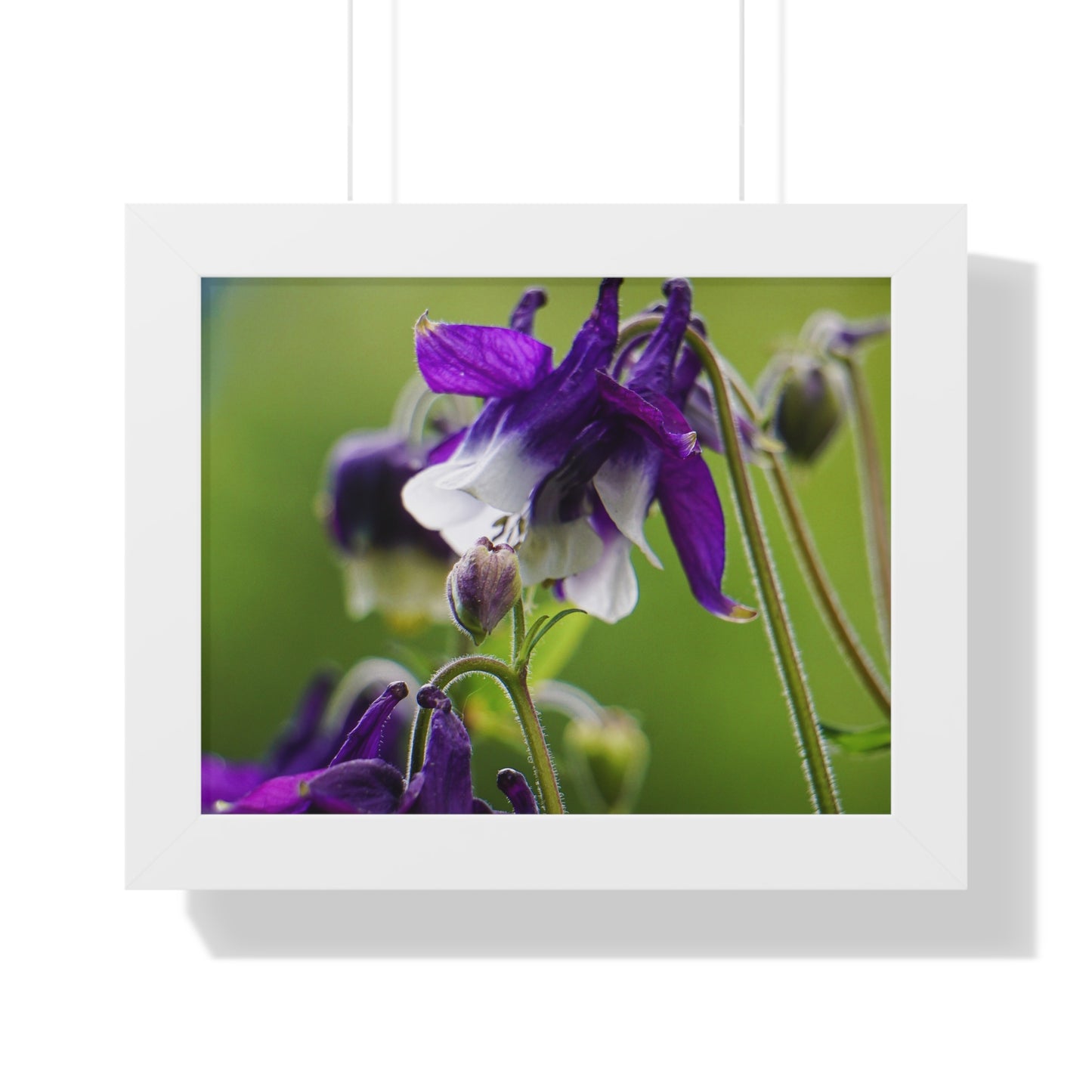 Spring Blooms Framed Matte Print