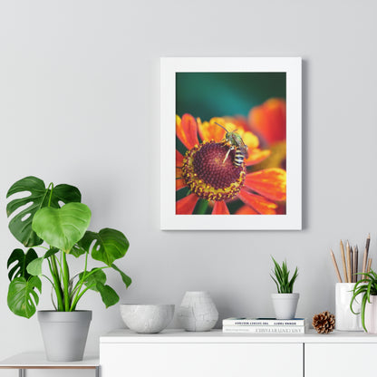 Fashionable Sweat Bee Framed Matte Print