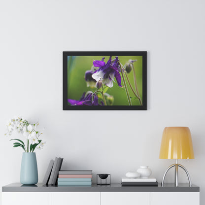 Spring Blooms Framed Matte Print