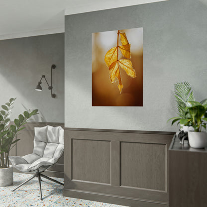 Leaves of Gold Fine Art Print