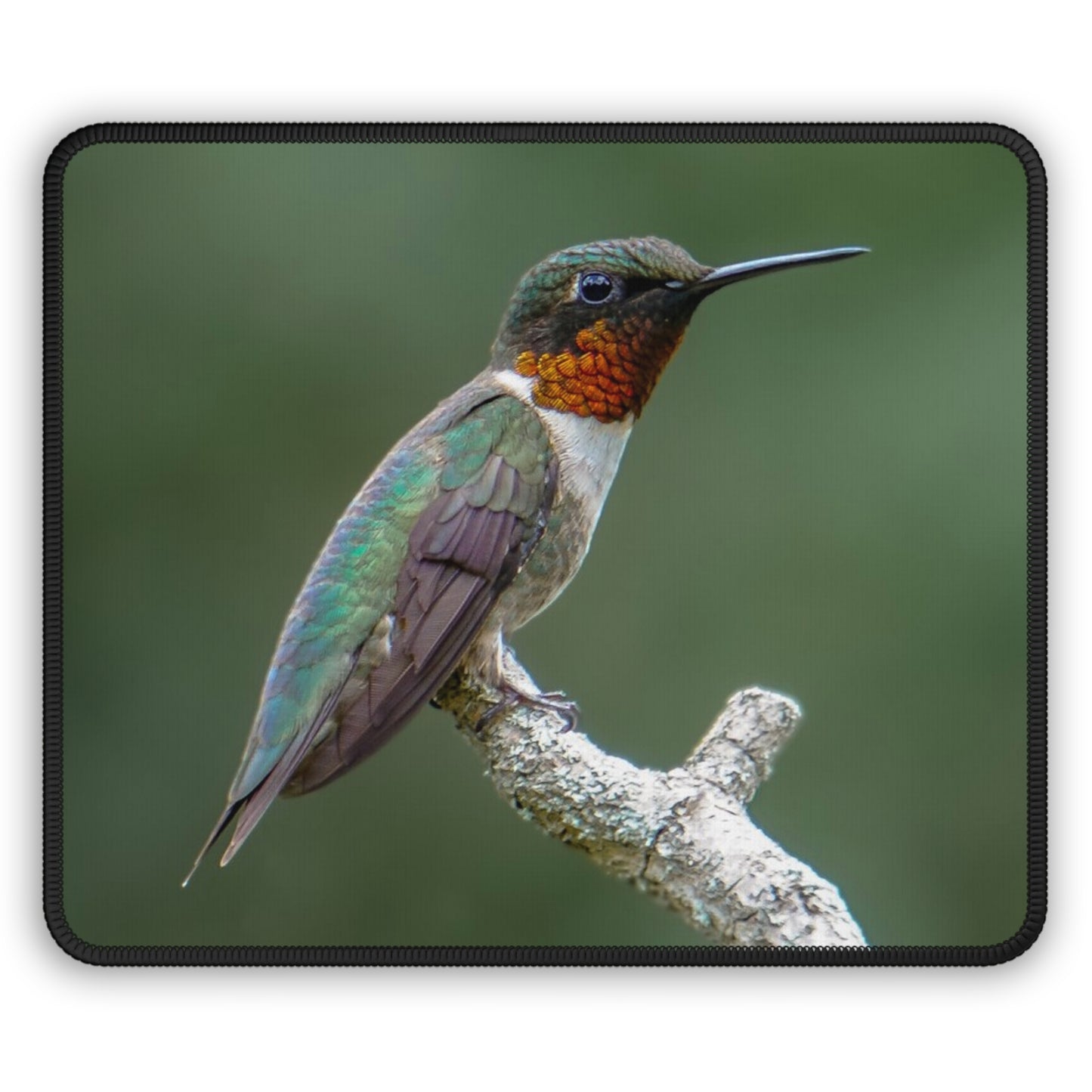 Ruby-Throated Hummingbird Large Mouse Pad