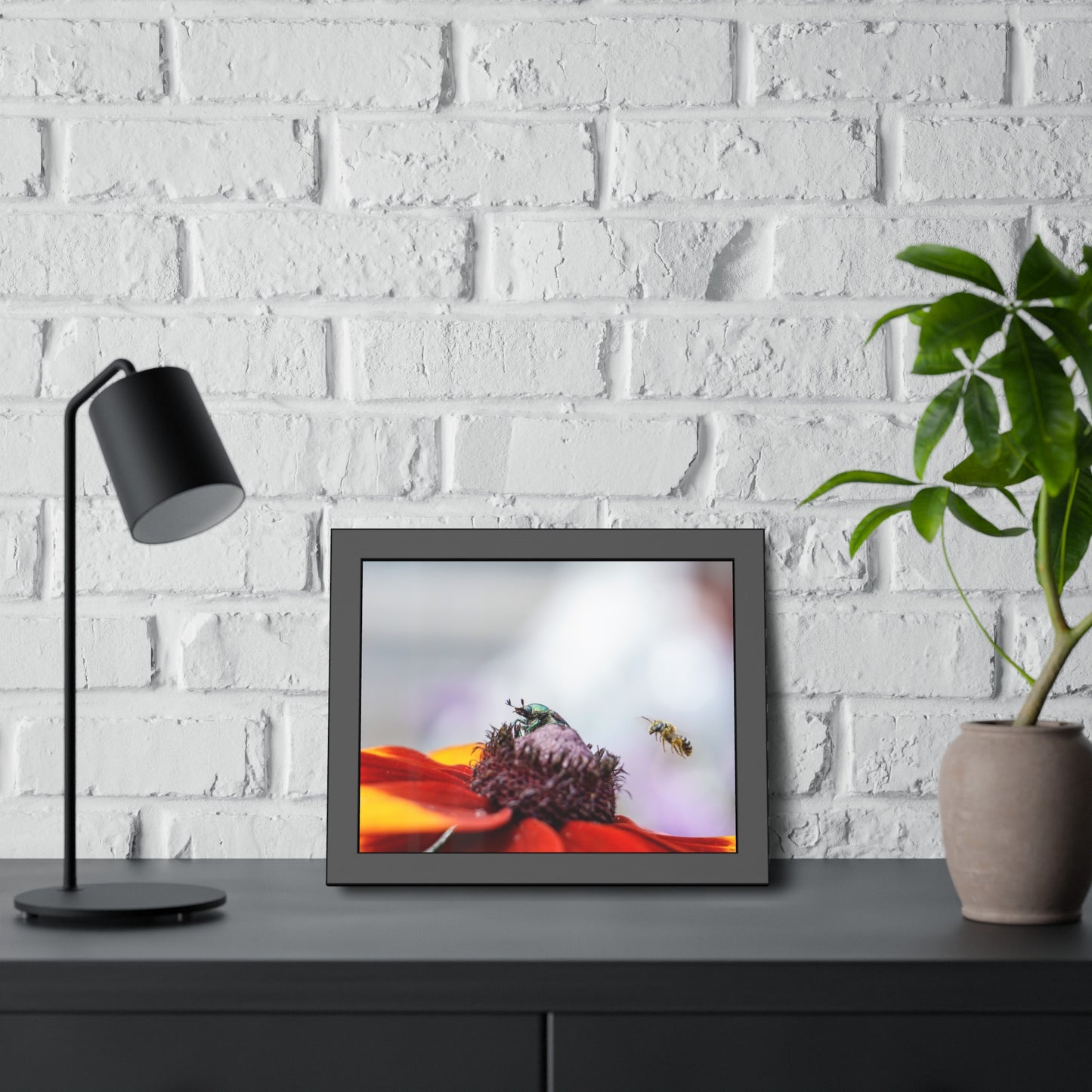 Japanese Beetle and Honey Bee Framed Print | Nature Photography