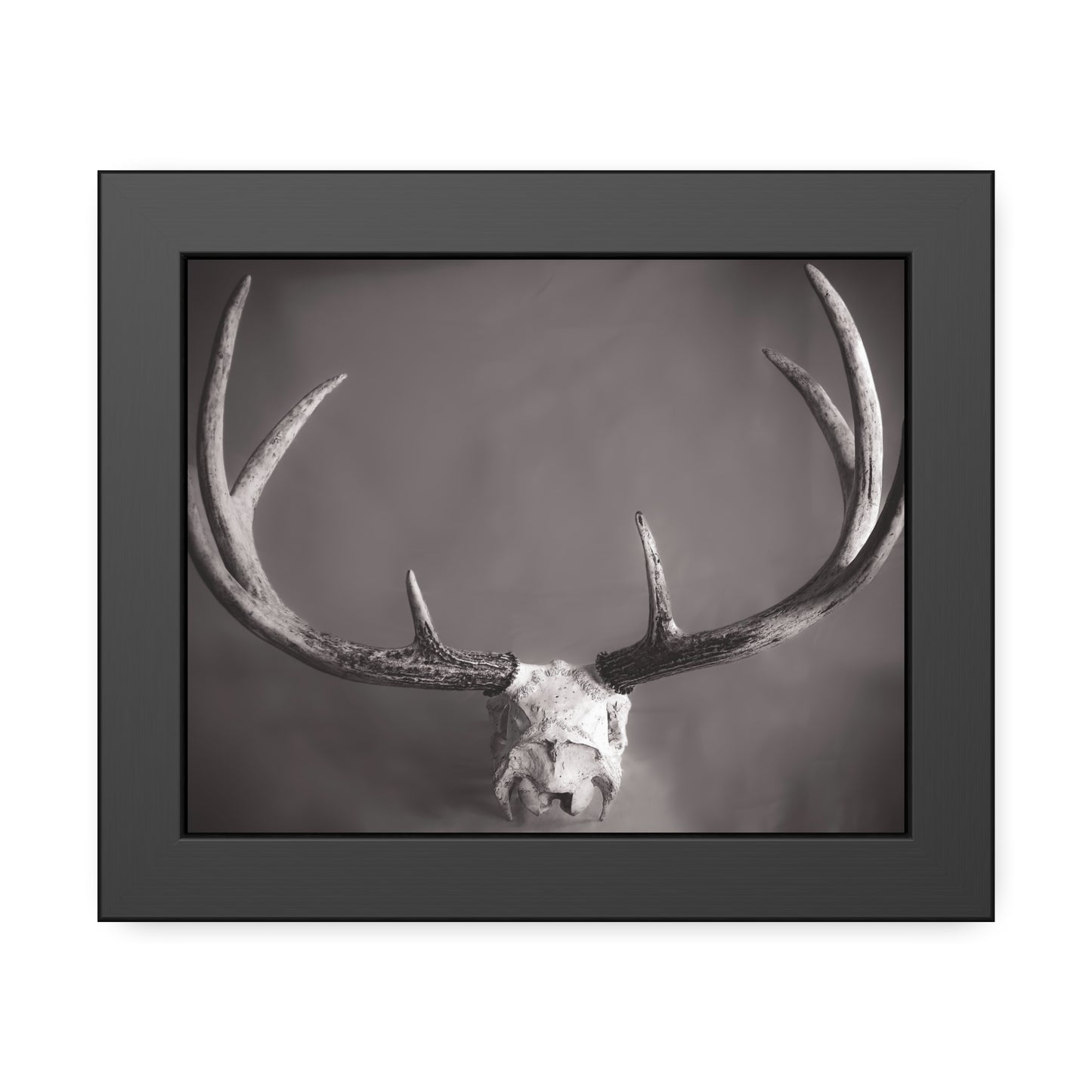Ghosts of Deers Past Framed Print | Nature Photography