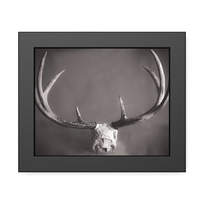 Ghosts of Deers Past Framed Print | Nature Photography