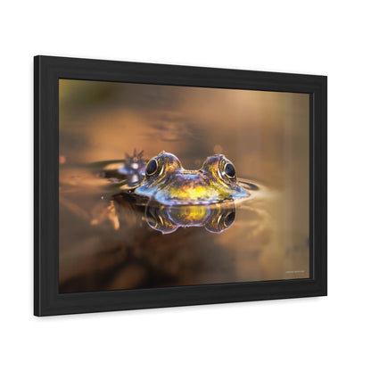 Duality of Frog Framed Fine Art Photograph