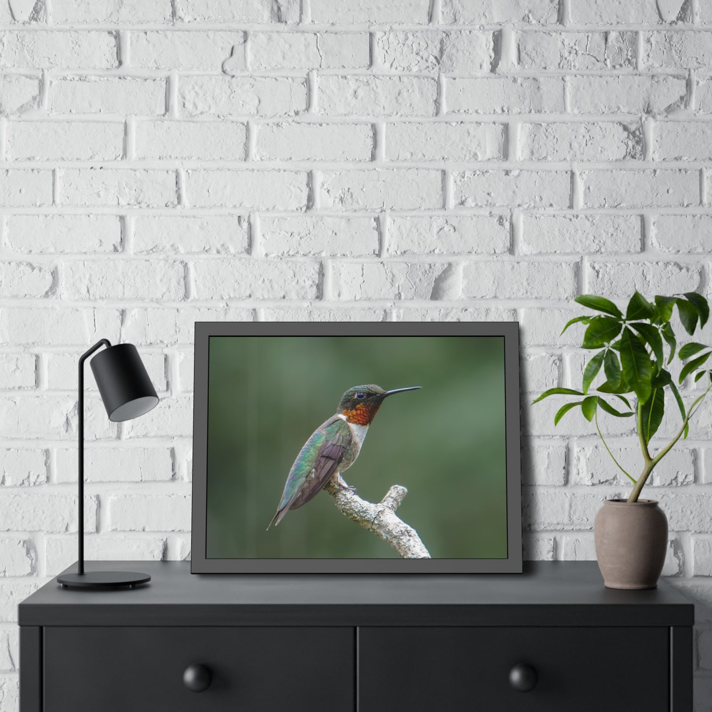 Ruby-Throated Hummingbird Framed Print | Nature Photography
