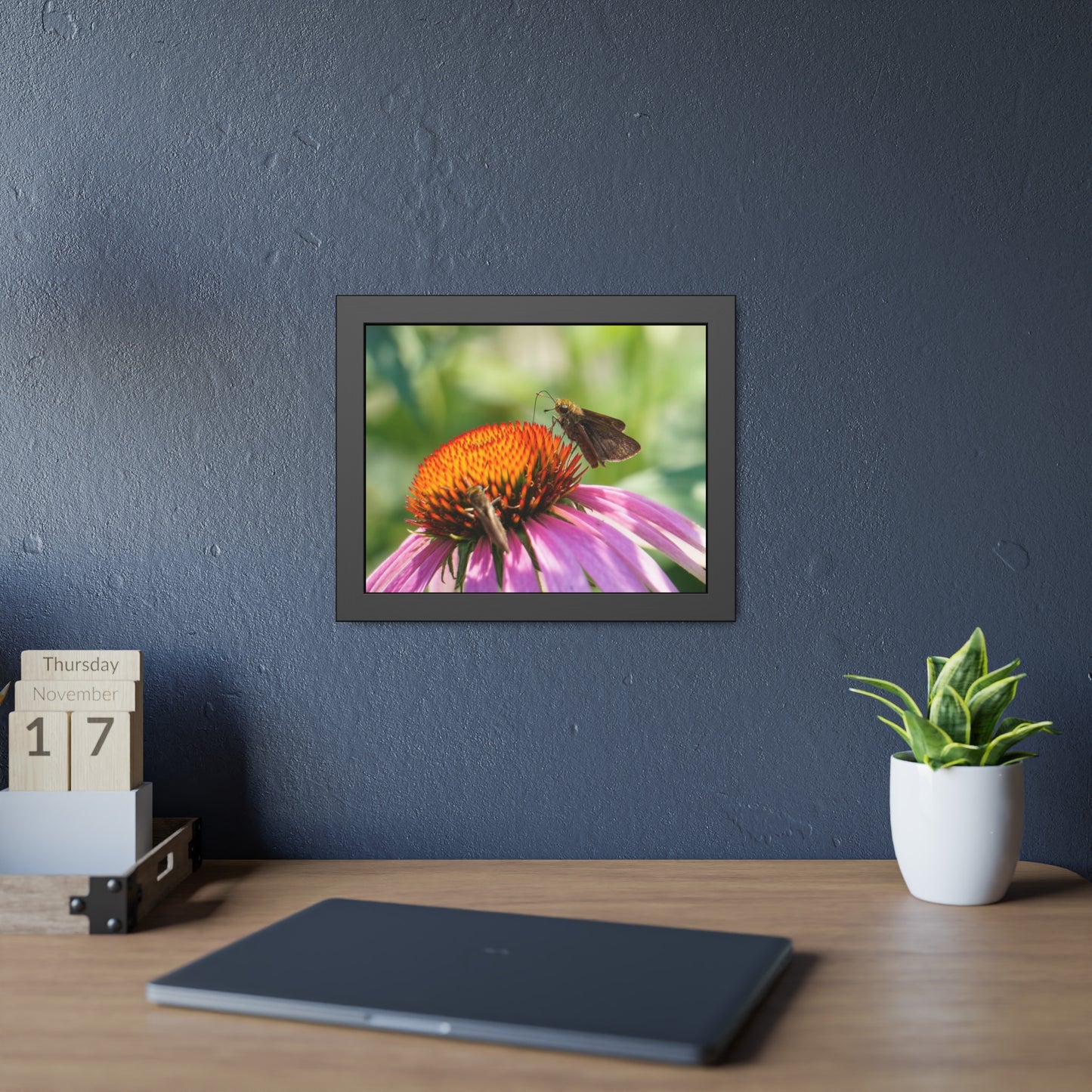 Little Glassywing Butterfly Framed Print | Nature Photography