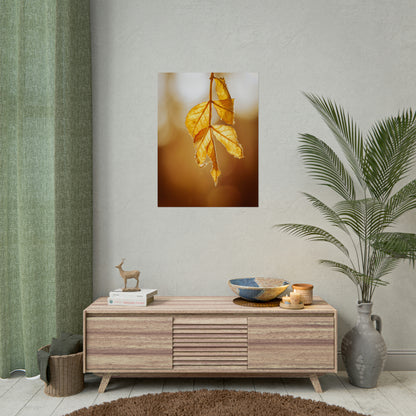 Leaves of Gold Fine Art Print