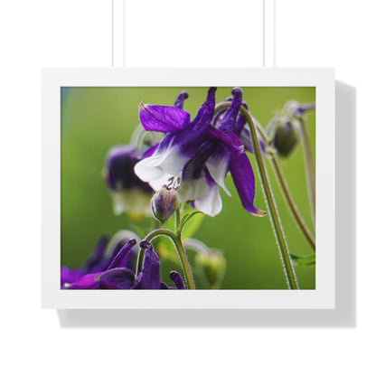 Spring Blooms Framed Matte Print