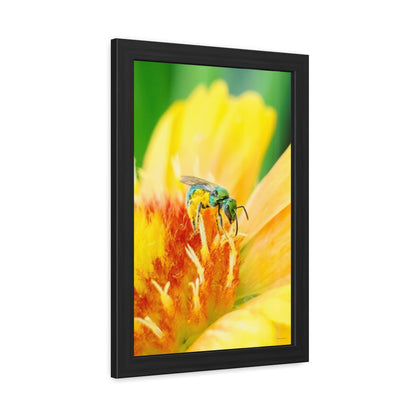 Metallic Green Bee Framed Fine Art Photograph