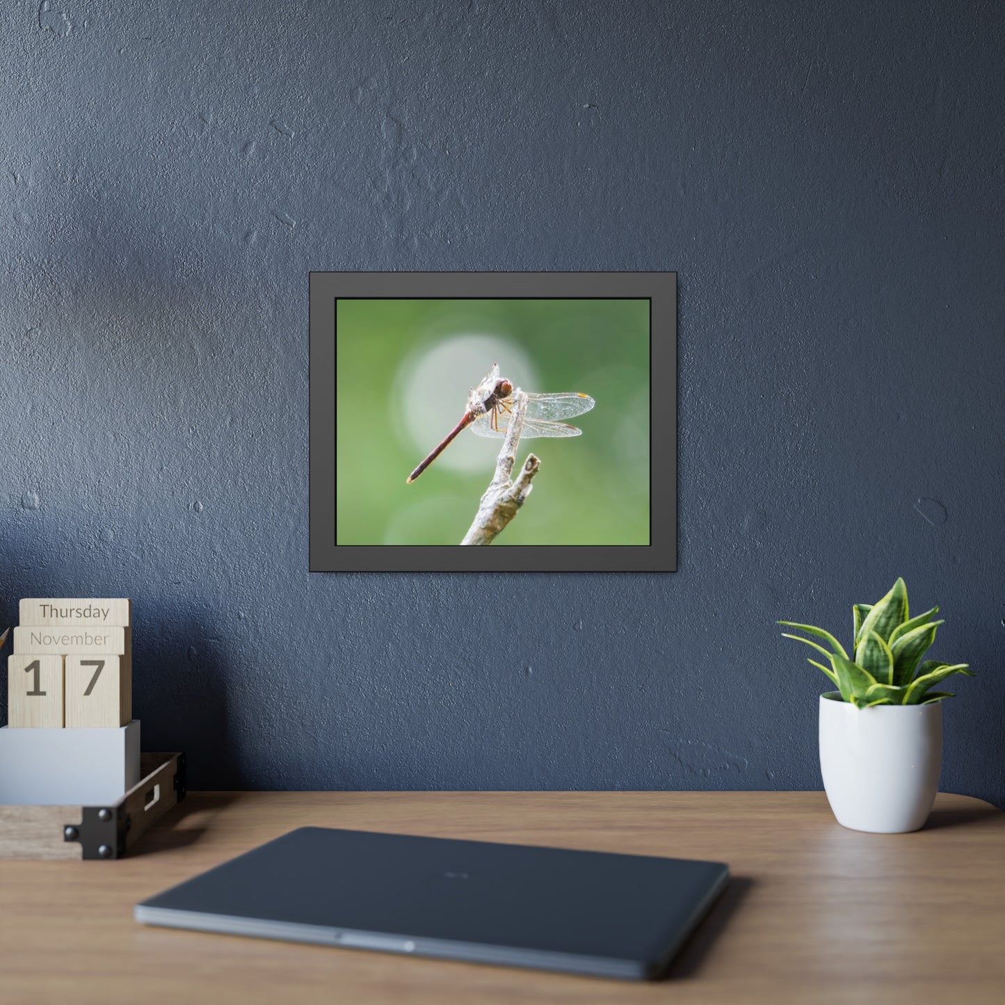 Dramatic Dragonfly Framed Print | Nature Photography