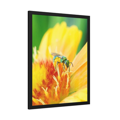 Metallic Green Bee Framed Print | Nature Photography