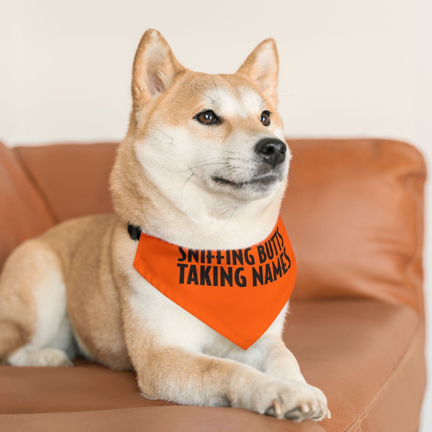 Sniffing Butts Taking Names Safety Orange Pet Bandana