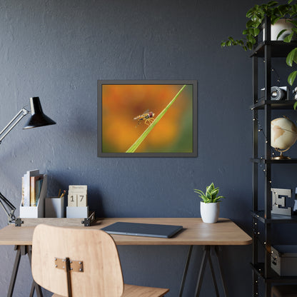 Flower Fly Super Macro Framed Print | Nature Photography