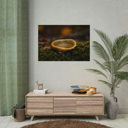 Magical Mushroom Fairy Pond Fine Art Print