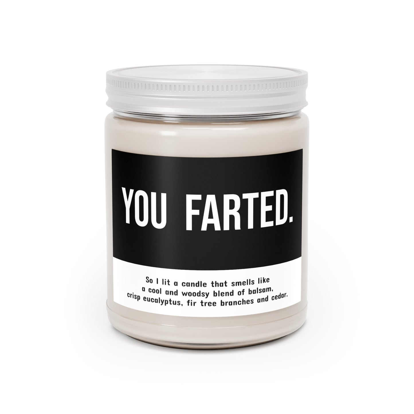 You Farted 9oz Candle (multiple scents)