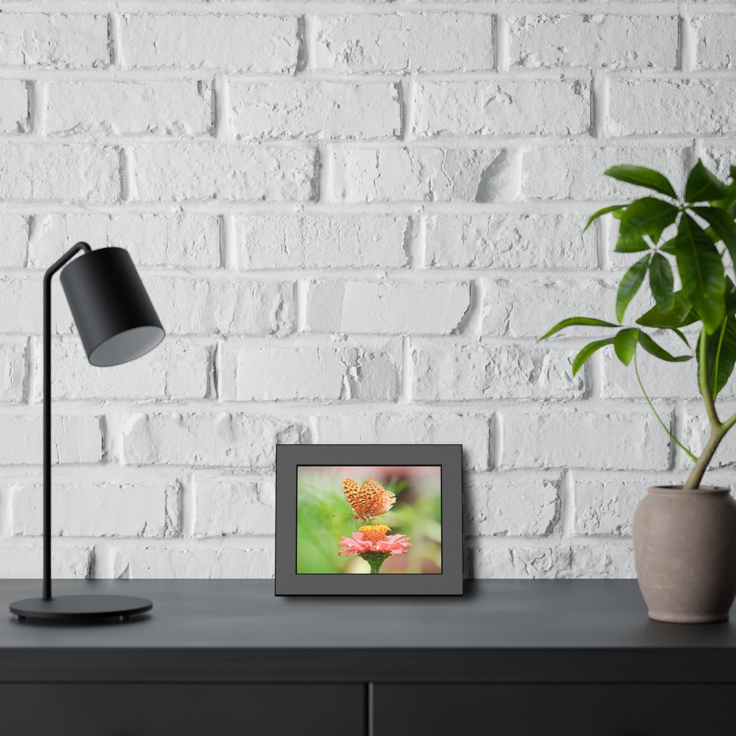 Fritillary Butterfly on Zinnia Framed Print | Nature Photography