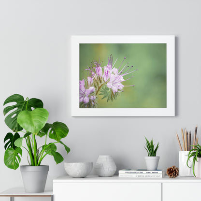 Macro Purple Wildflowers Framed Matte Print