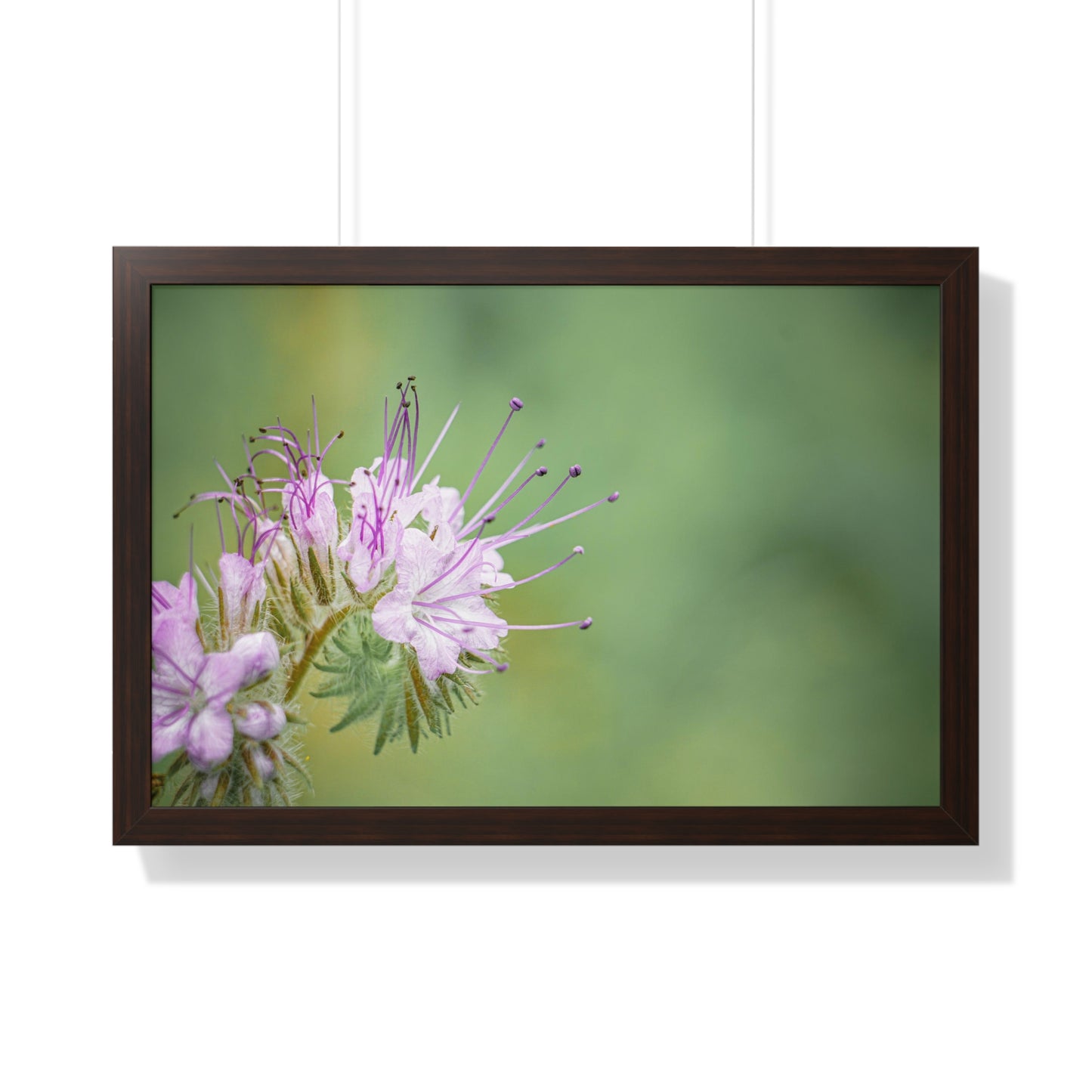 Macro Purple Wildflowers Framed Matte Print