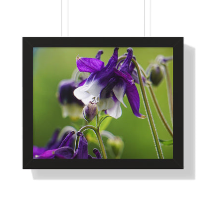 Spring Blooms Framed Matte Print