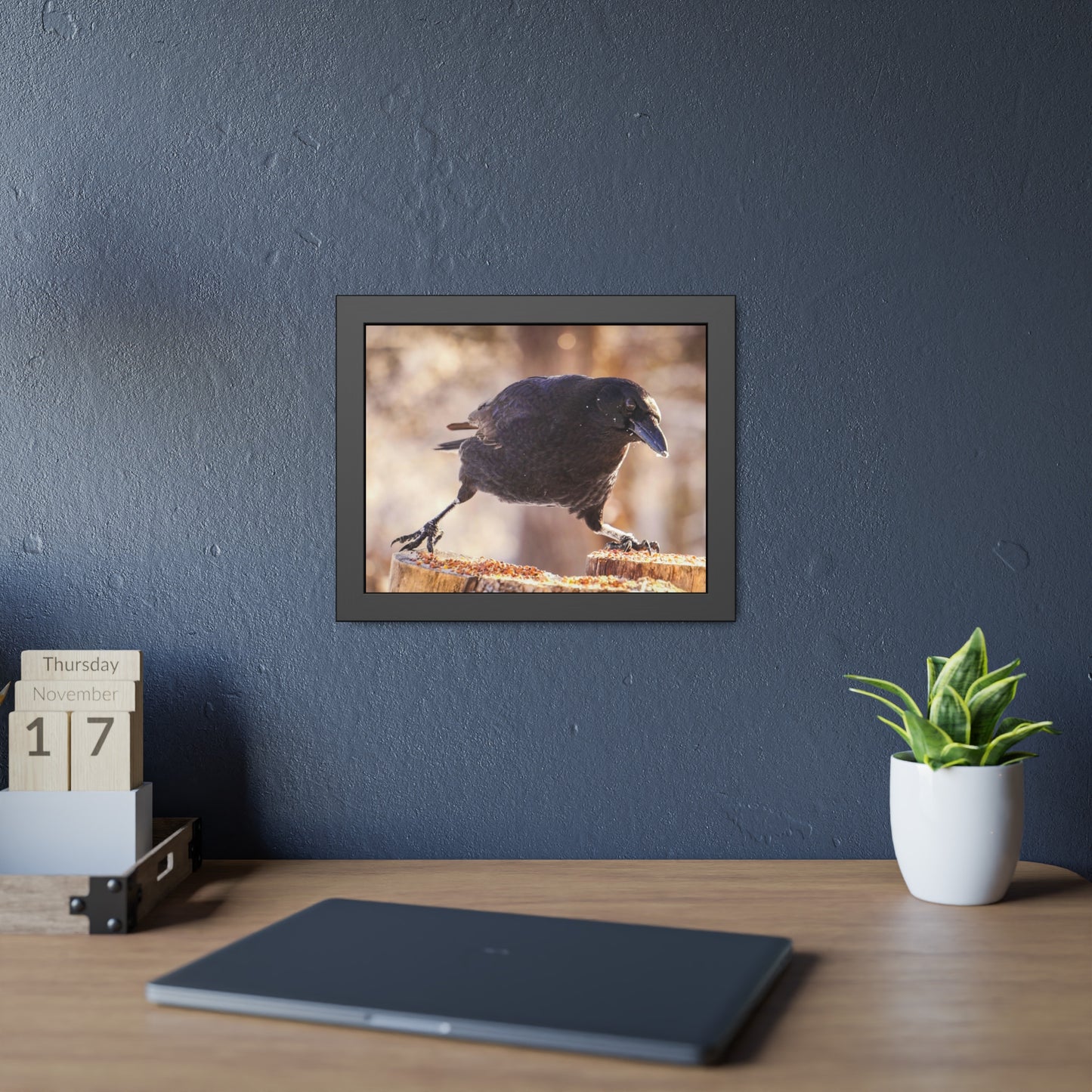 Crow Doing The Splits Framed Print | Nature Photography