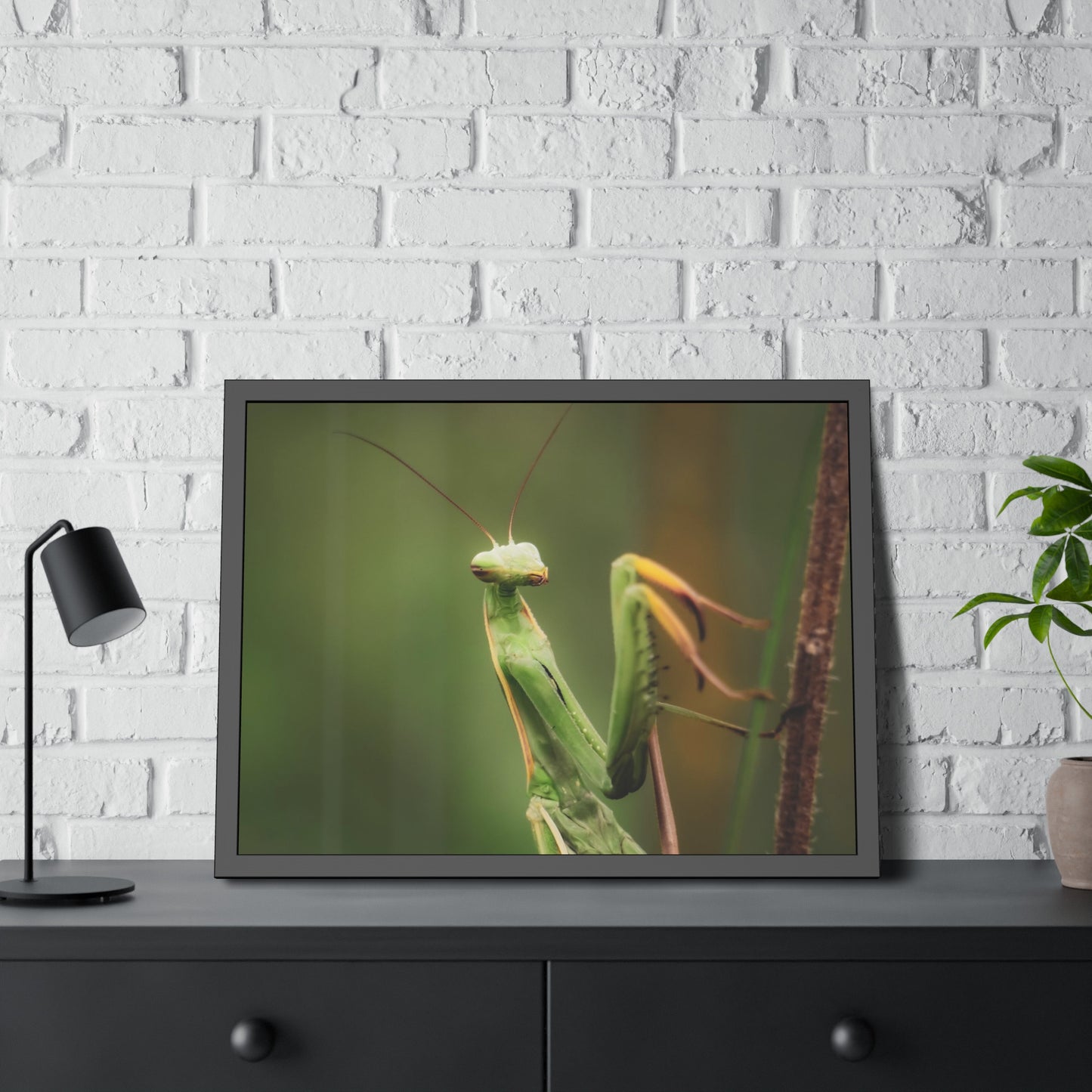 Majestic Mantis Framed Print | Nature Photography