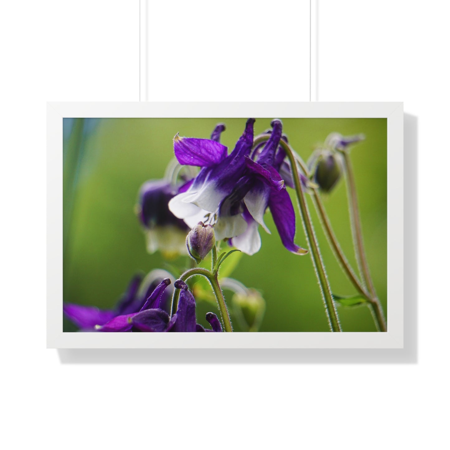 Spring Blooms Framed Matte Print