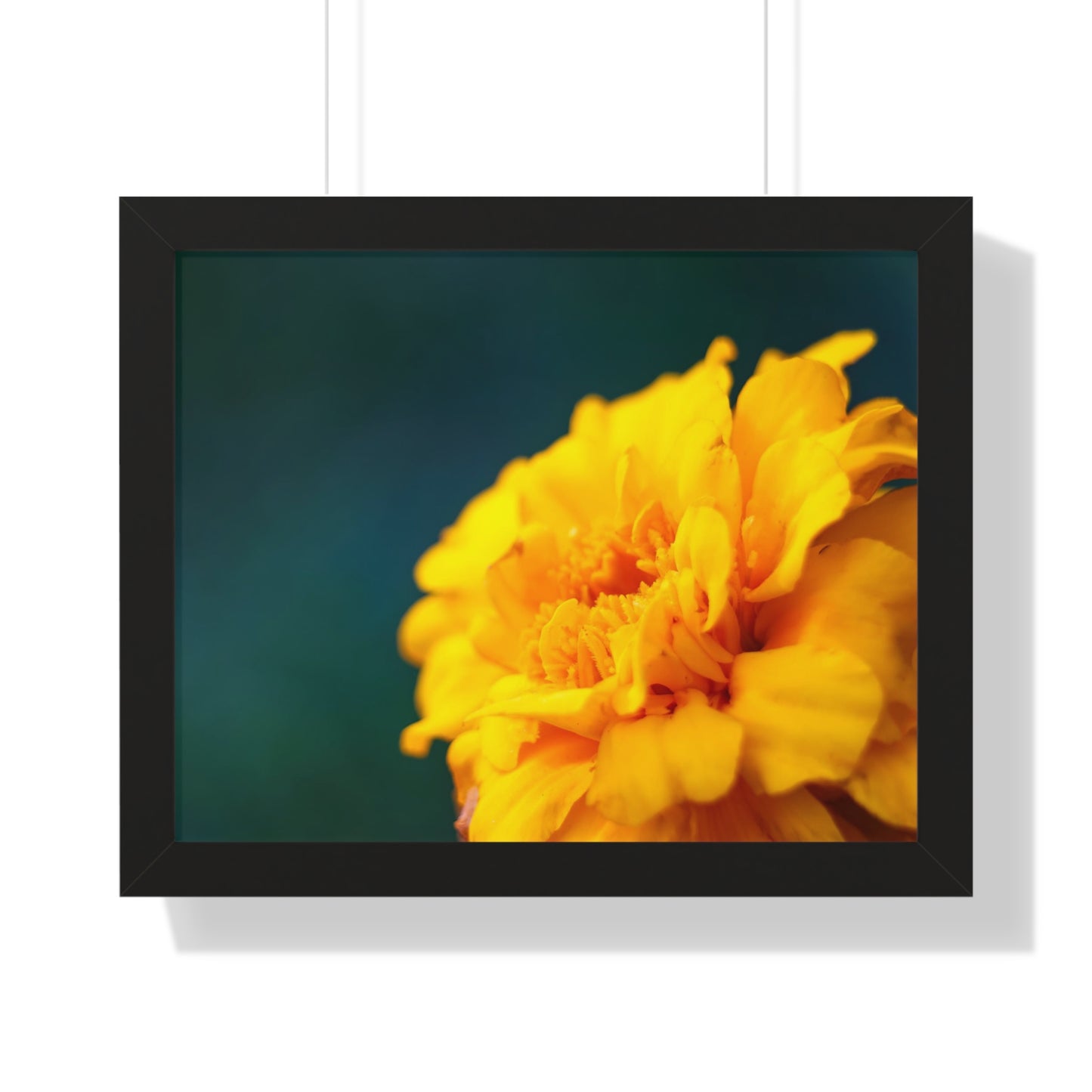 Macro Marigold Flower Framed Matte Print