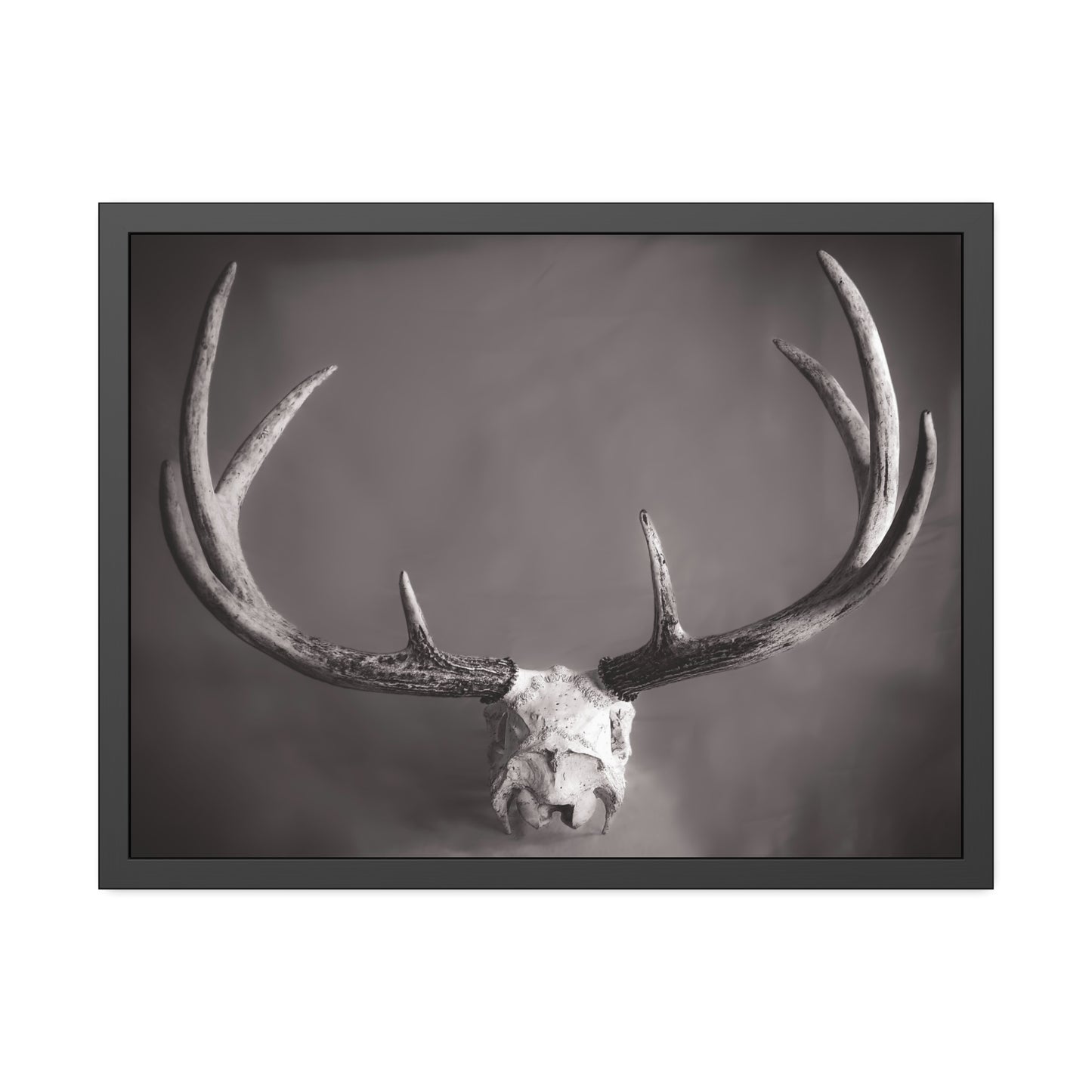 Ghosts of Deers Past Framed Print | Nature Photography