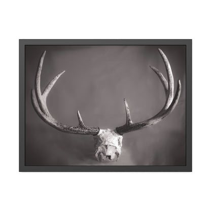 Ghosts of Deers Past Framed Print | Nature Photography