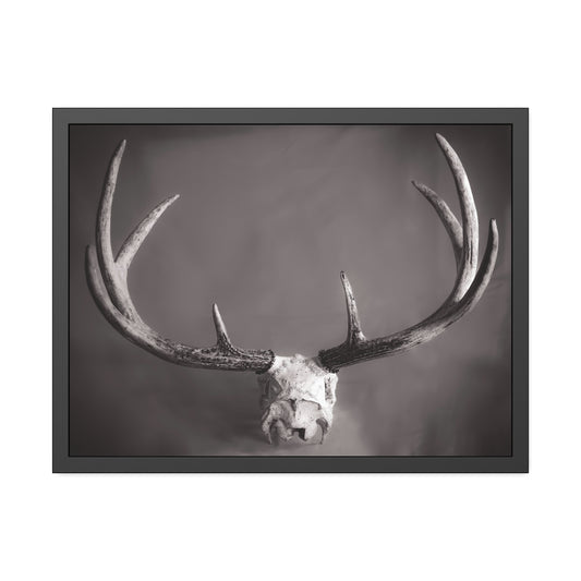 Ghosts of Deers Past Framed Print | Nature Photography