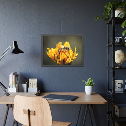 Macro Bee Pollinating Dandelion Framed Print | Nature Photography