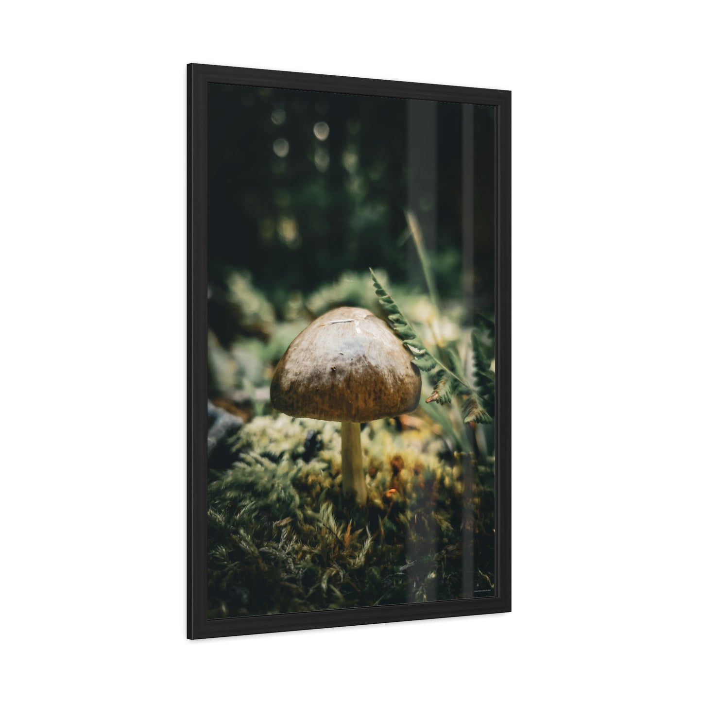 Mossy Mushroom House Framed Fine Art Photograph