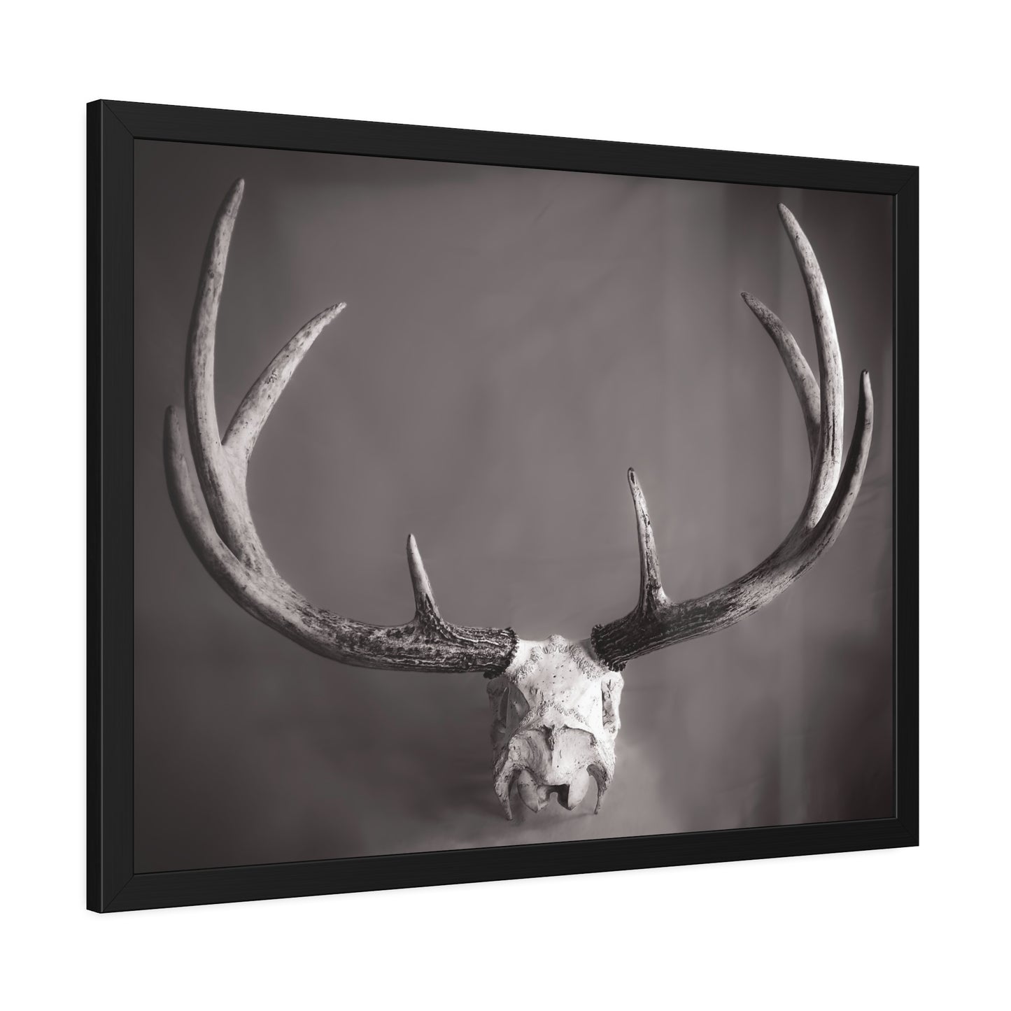Ghosts of Deers Past Framed Print | Nature Photography