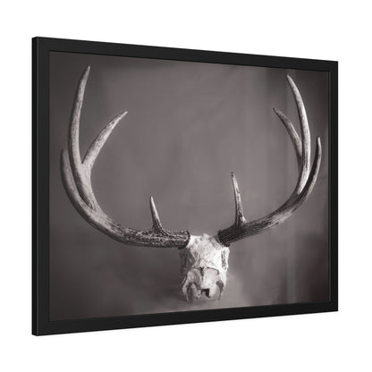Ghosts of Deers Past Framed Print | Nature Photography